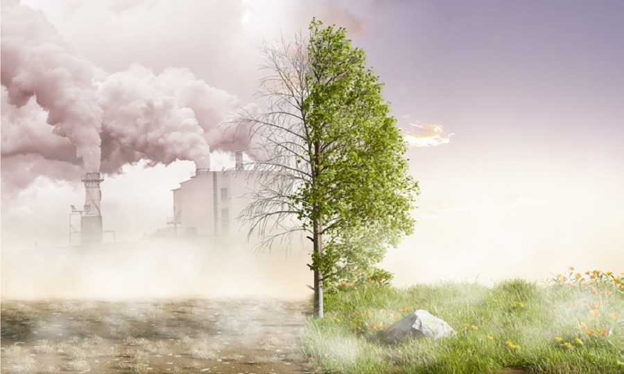 Grafika przedstawiająca pół środowiska zanieczyszczonego i pół ekologicznego. Drzewo na jednej stronie jest zielone a na drugiej uschnięte i szare.