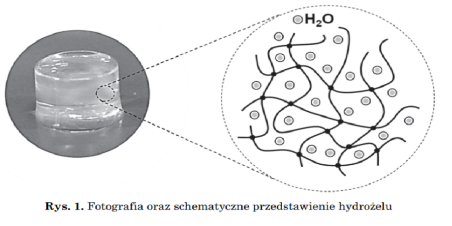 Zdjęcie przedstawia schematyczną strukturę hydrożelu